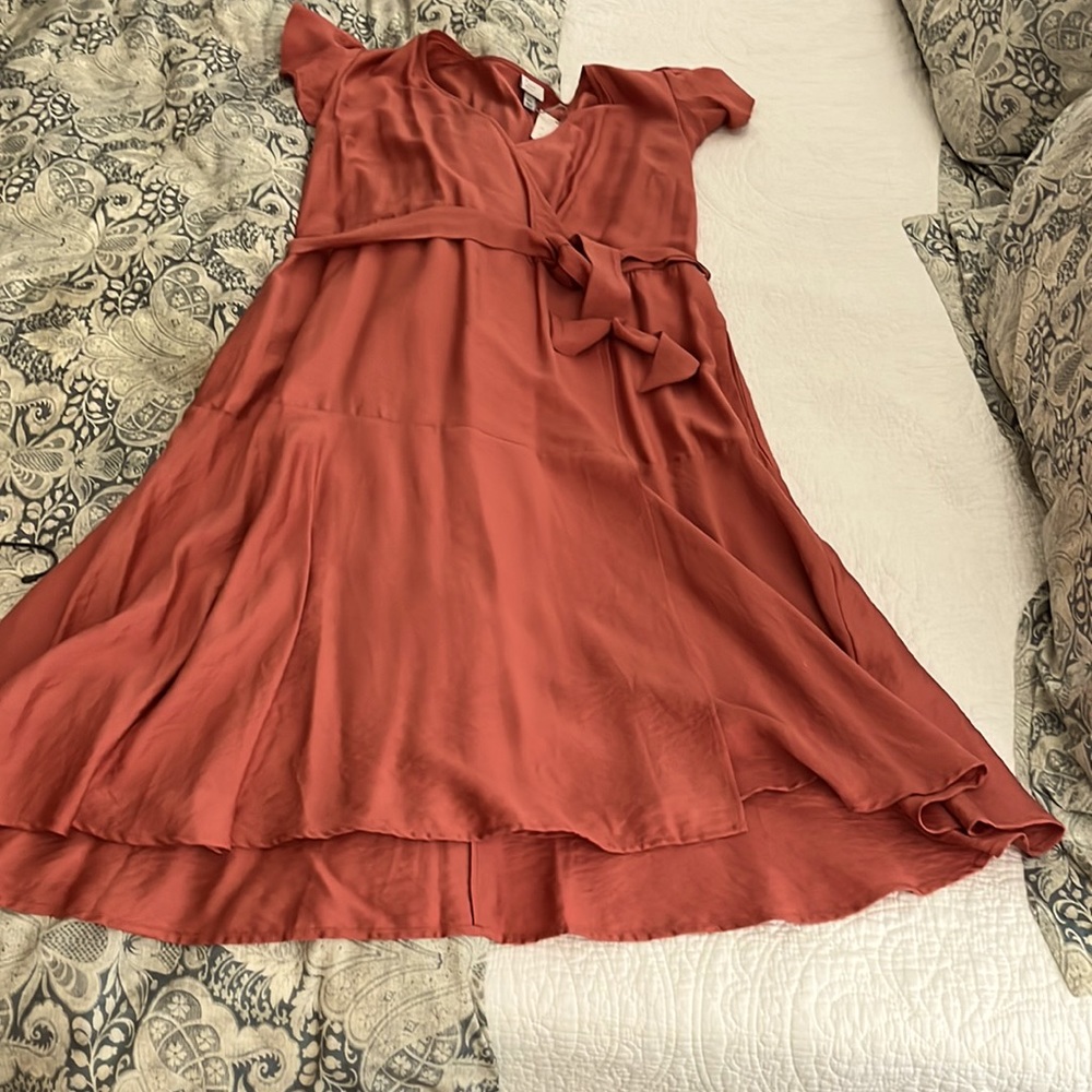 Flutter sleeve dress